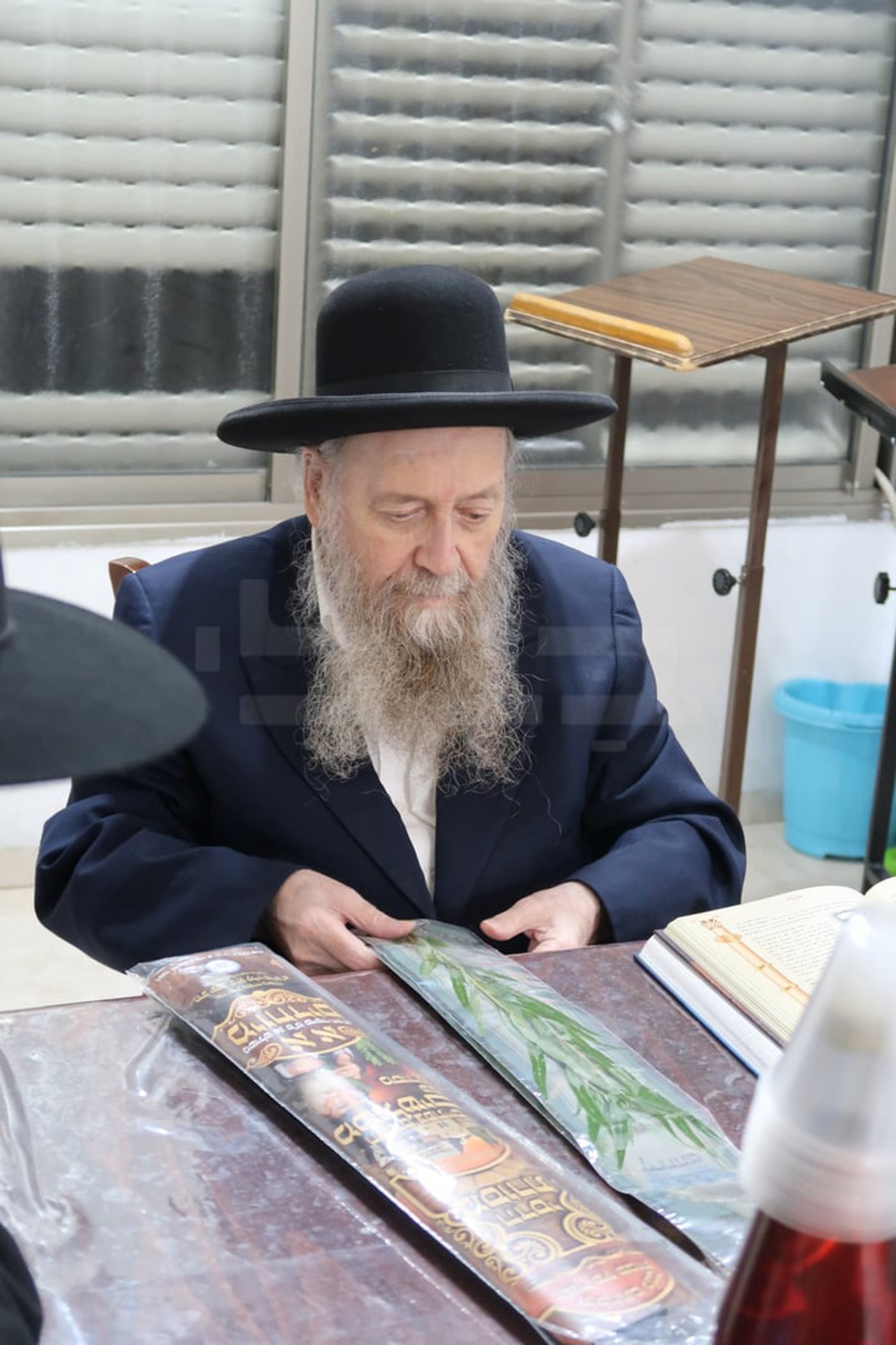 הגר"ד בצרי זצ"ל בבדיקת הדסים לסוכות תשפ"ז | צילום: י. פריד