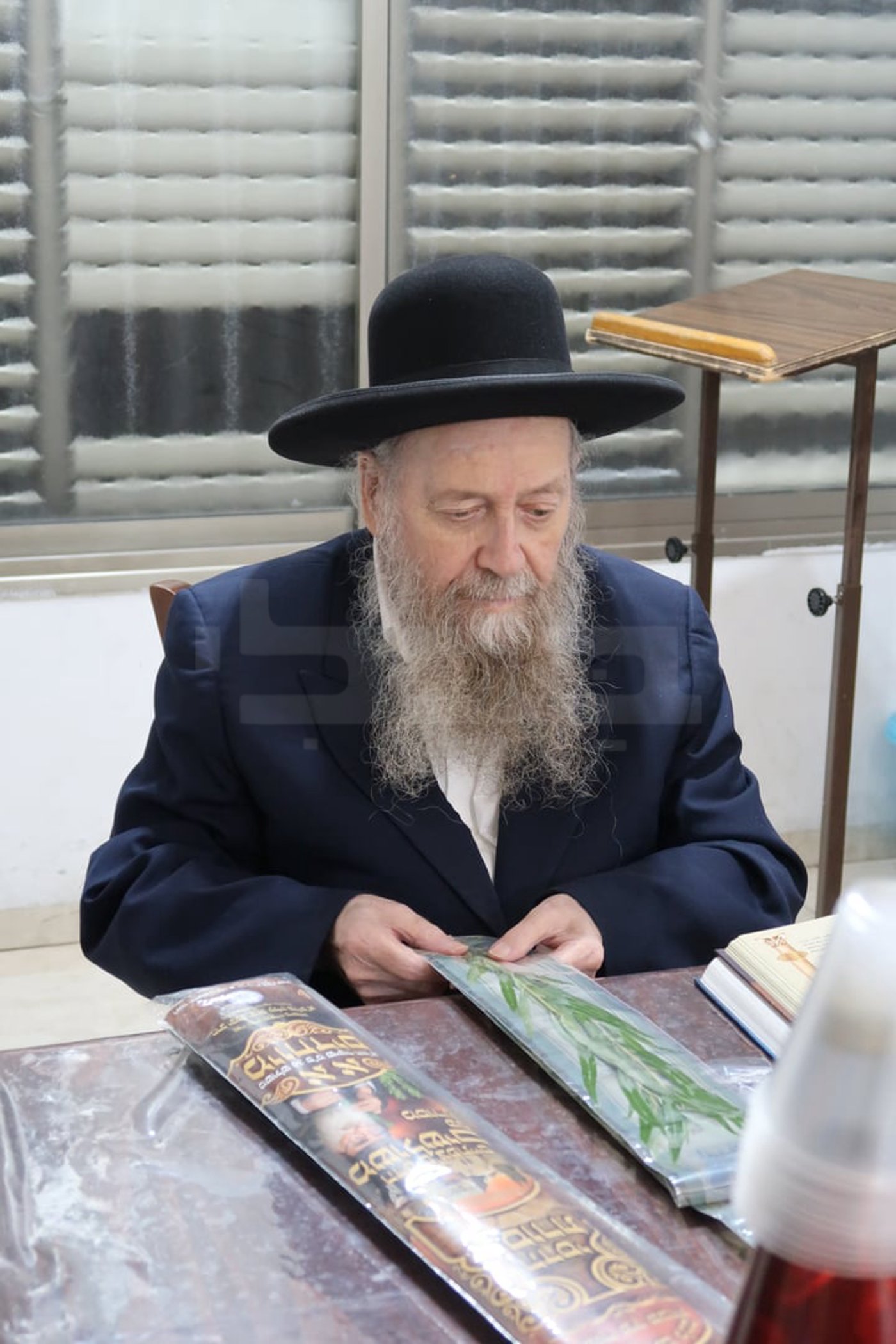 הגר"ד בצרי זצ"ל בבדיקת הדסים לסוכות תשפ"ז | צילום: י. פריד