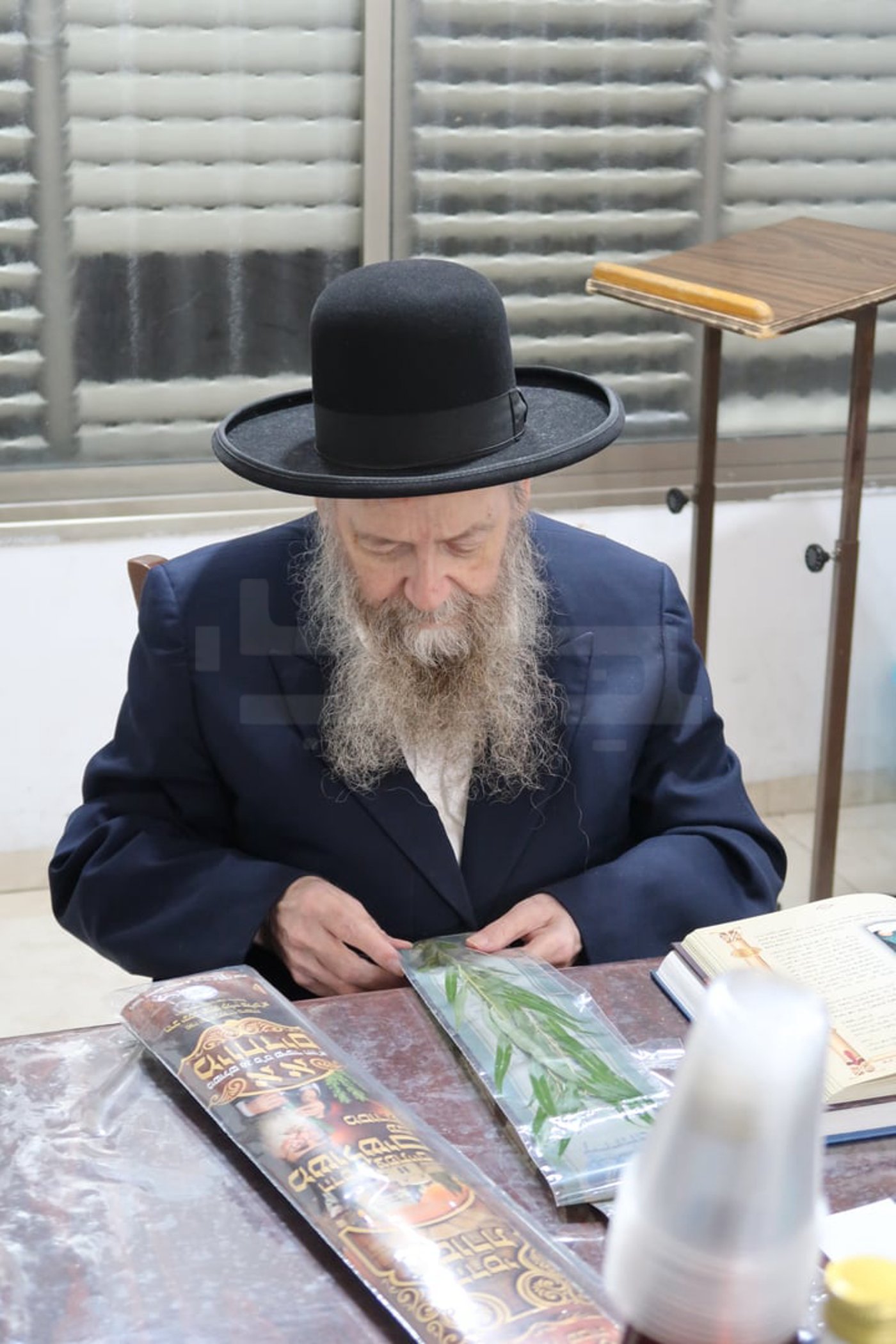 הגר"ד בצרי זצ"ל בבדיקת הדסים לסוכות תשפ"ז | צילום: י. פריד