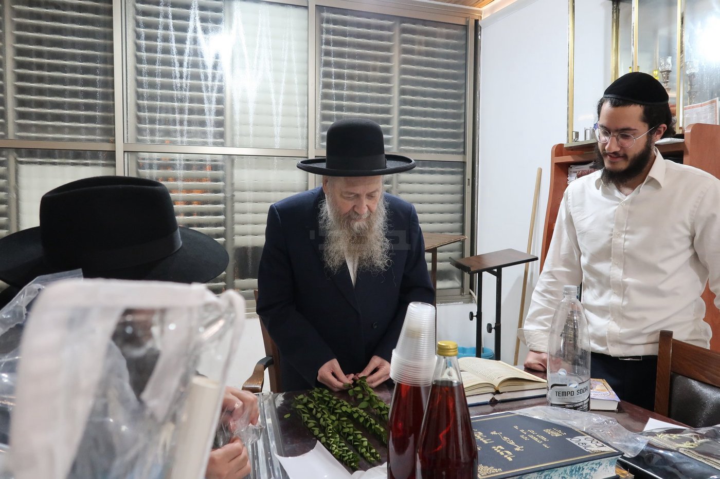 הגר"ד בצרי זצ"ל בבדיקת הדסים לסוכות תשפ"ז | צילום: י. פריד