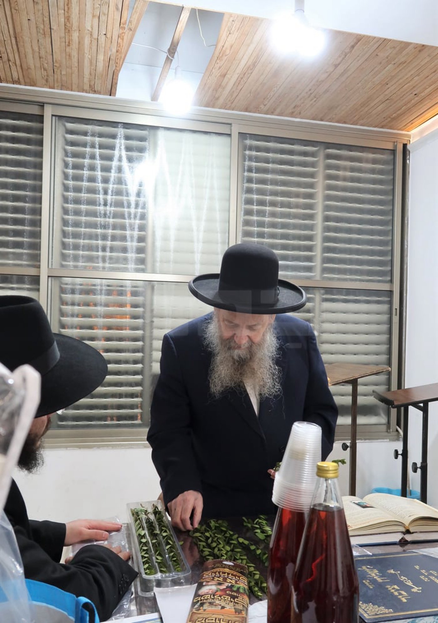 הגר"ד בצרי זצ"ל בבדיקת הדסים לסוכות תשפ"ז | צילום: י. פריד