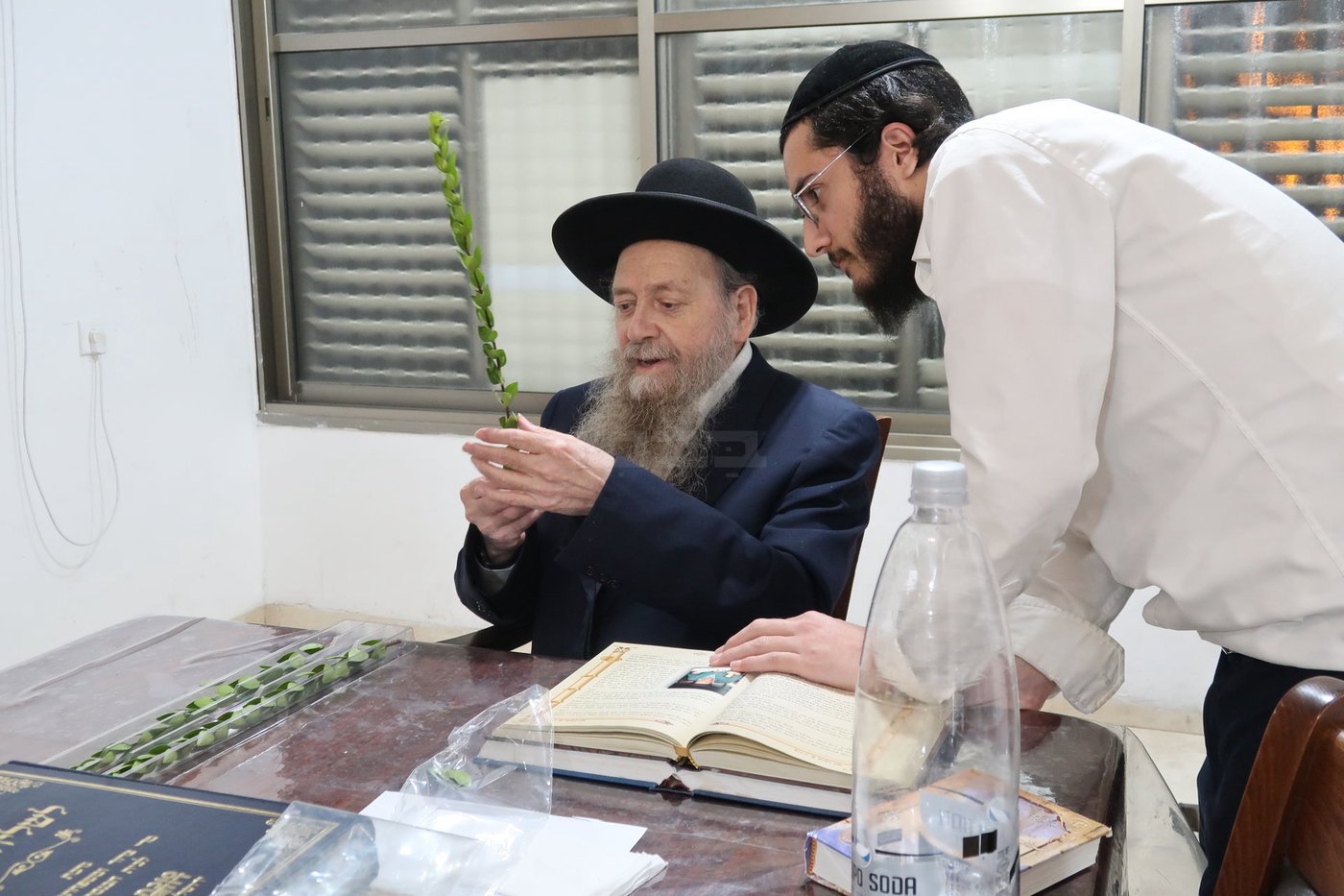 הגר"ד בצרי זצ"ל בבדיקת הדסים לסוכות תשפ"ז | צילום: י. פריד