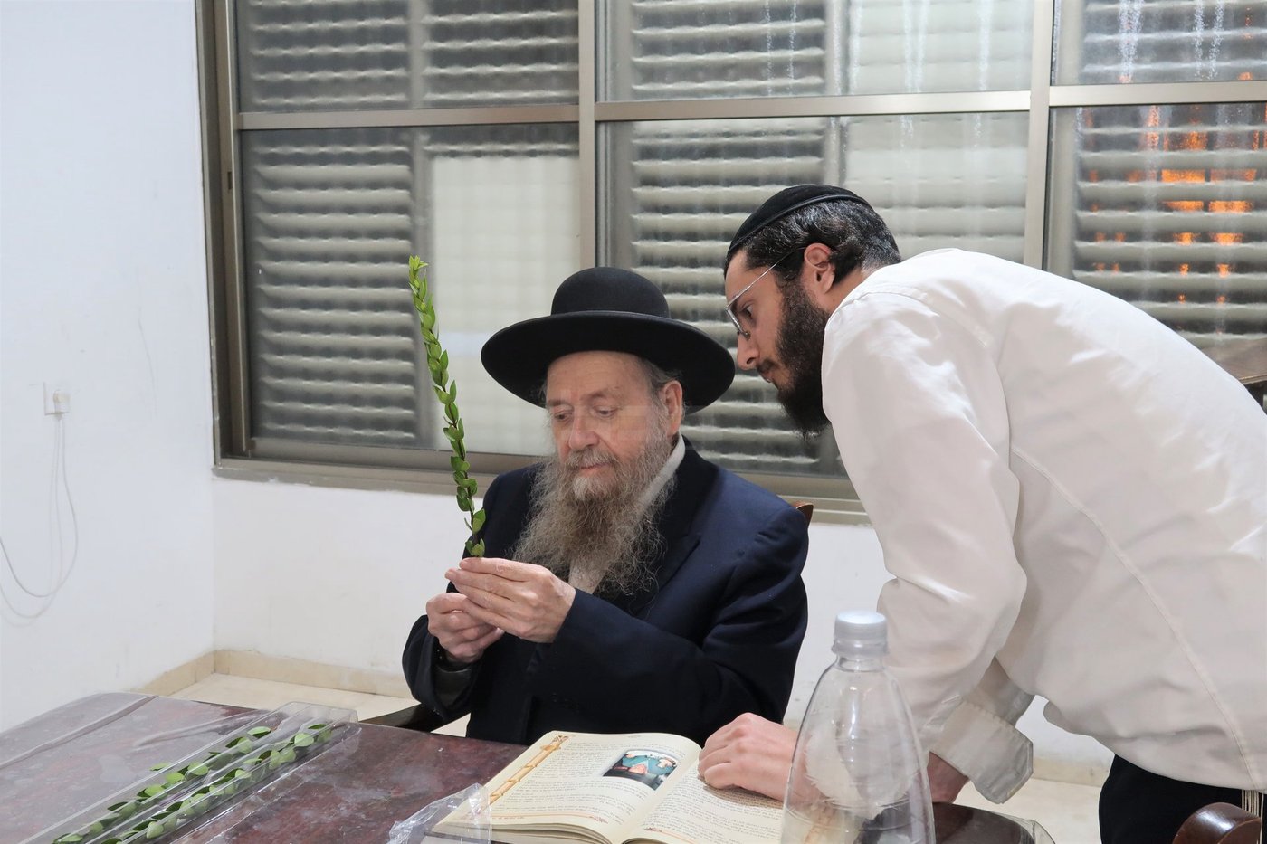 הגר"ד בצרי זצ"ל בבדיקת הדסים לסוכות תשפ"ז | צילום: י. פריד
