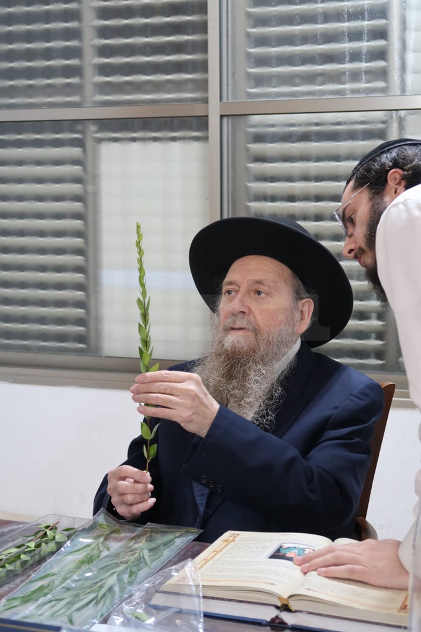 הגר"ד בצרי זצ"ל בבדיקת הדסים לסוכות תשפ"ז | צילום: י. פריד