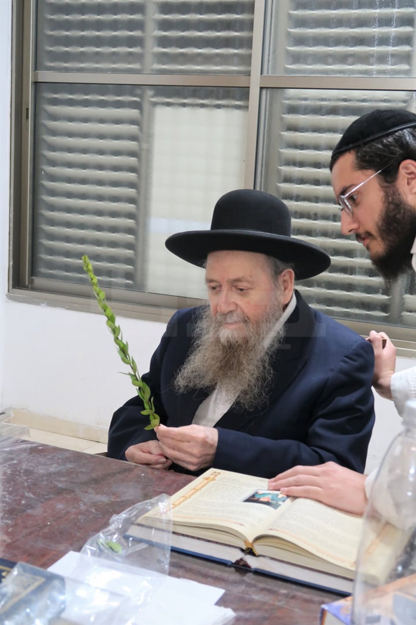 הגר"ד בצרי זצ"ל בבדיקת הדסים לסוכות תשפ"ז | צילום: י. פריד