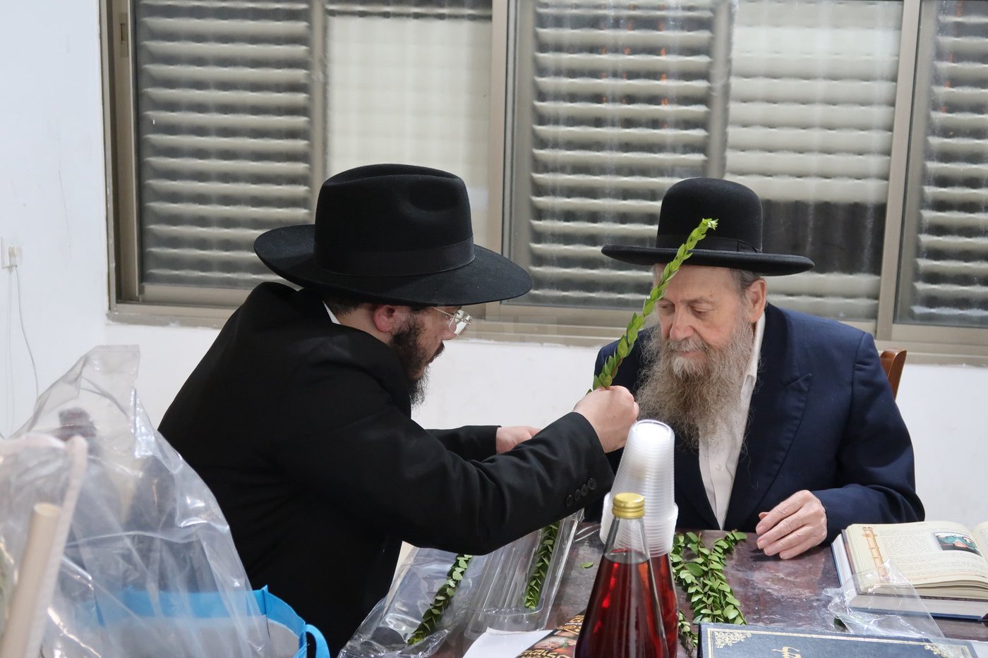 הגר"ד בצרי זצ"ל בבדיקת הדסים לסוכות תשפ"ז | צילום: י. פריד