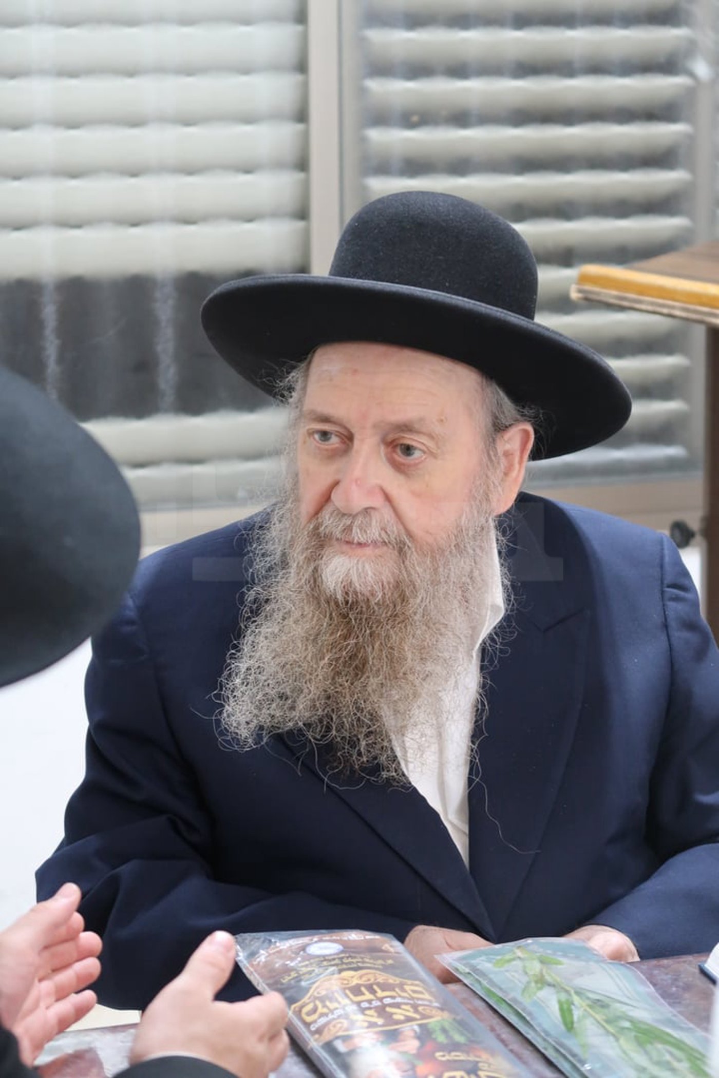 הגר"ד בצרי זצ"ל בבדיקת הדסים לסוכות תשפ"ז | צילום: י. פריד
