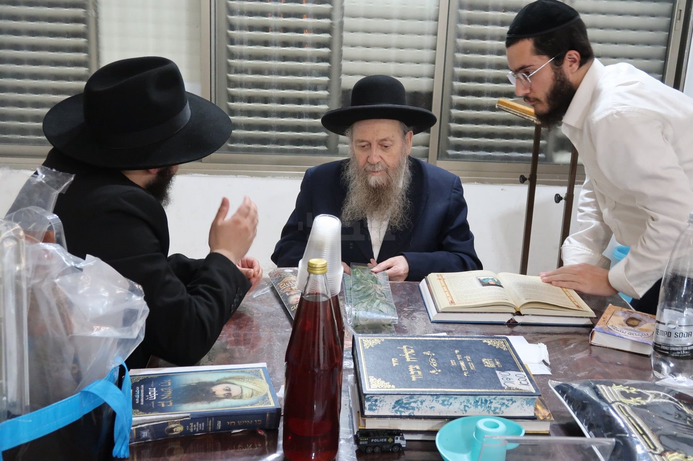 הגר"ד בצרי זצ"ל בבדיקת הדסים לסוכות תשפ"ז | צילום: י. פריד