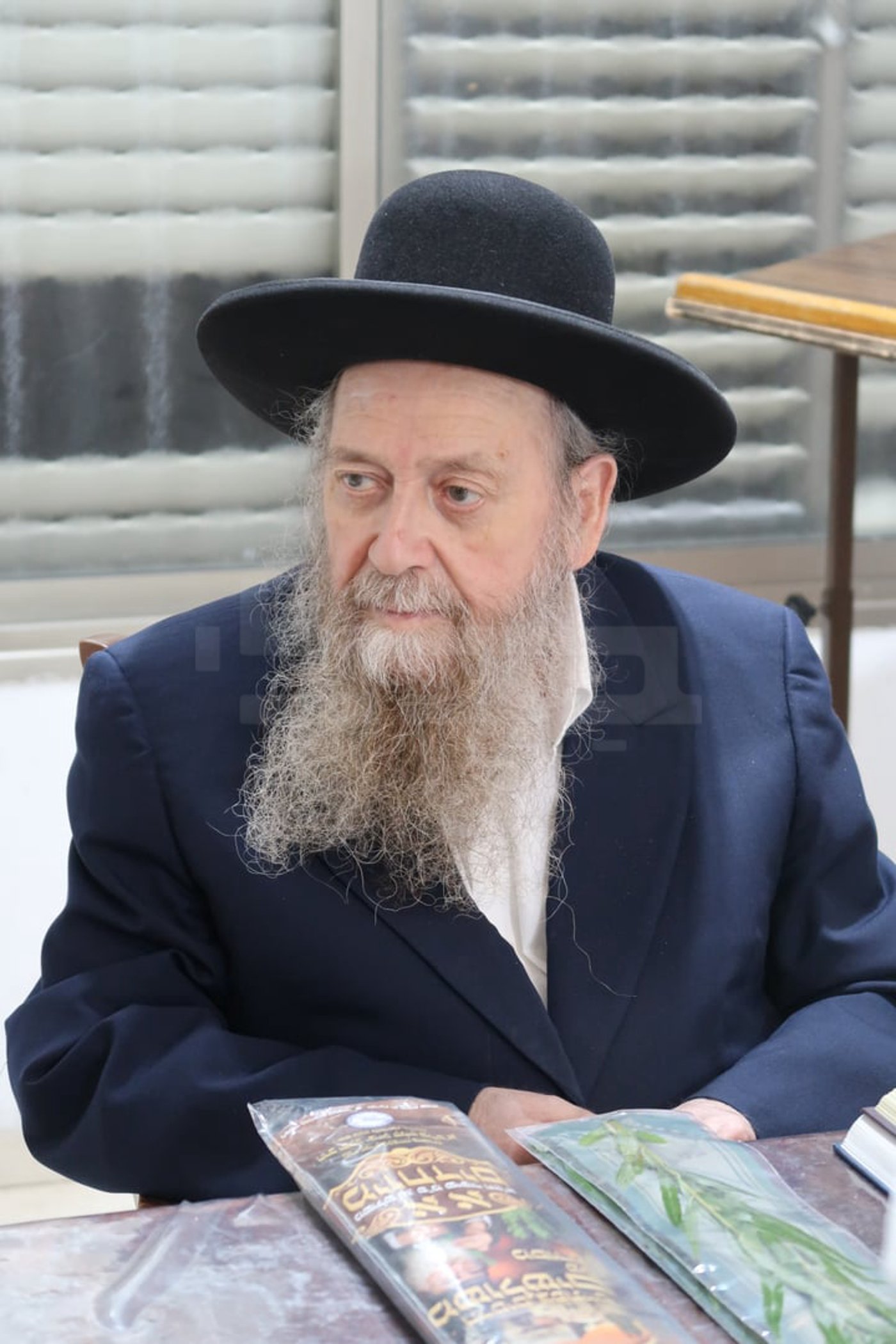 הגר"ד בצרי זצ"ל בבדיקת הדסים לסוכות תשפ"ז | צילום: י. פריד