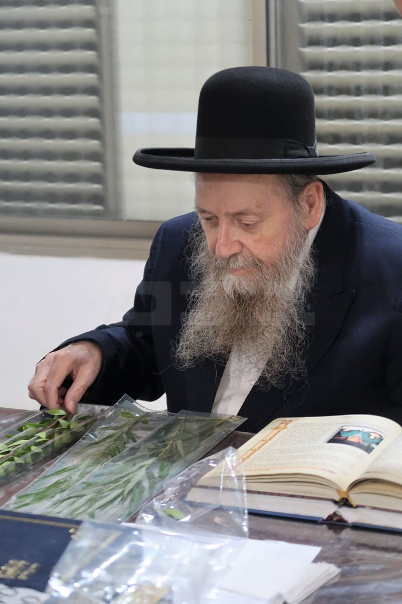 הגר"ד בצרי זצ"ל בבדיקת הדסים לסוכות תשפ"ז | צילום: י. פריד