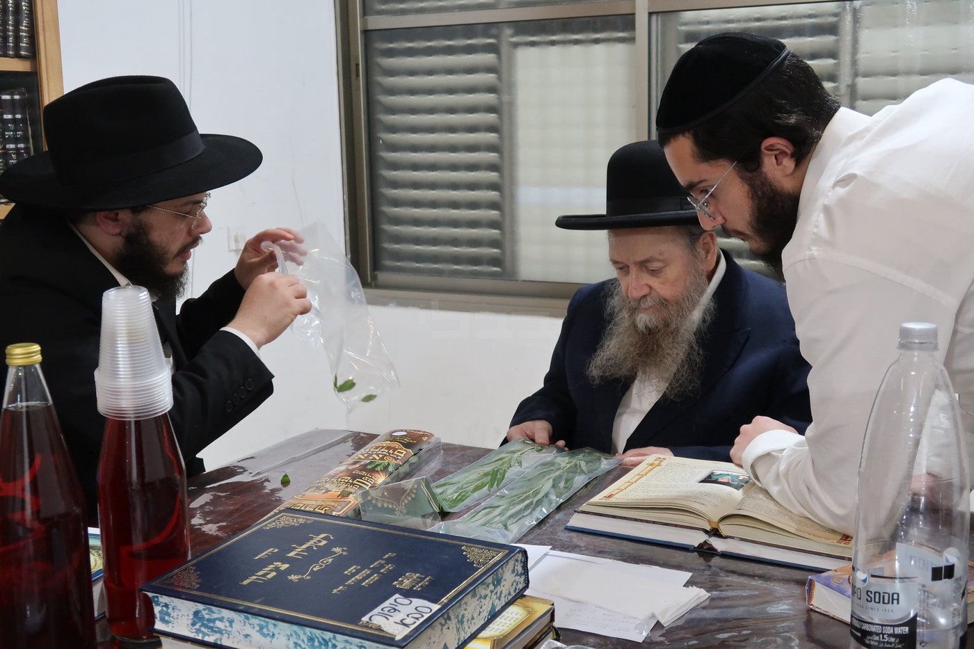 הגר"ד בצרי זצ"ל בבדיקת הדסים לסוכות תשפ"ז | צילום: י. פריד