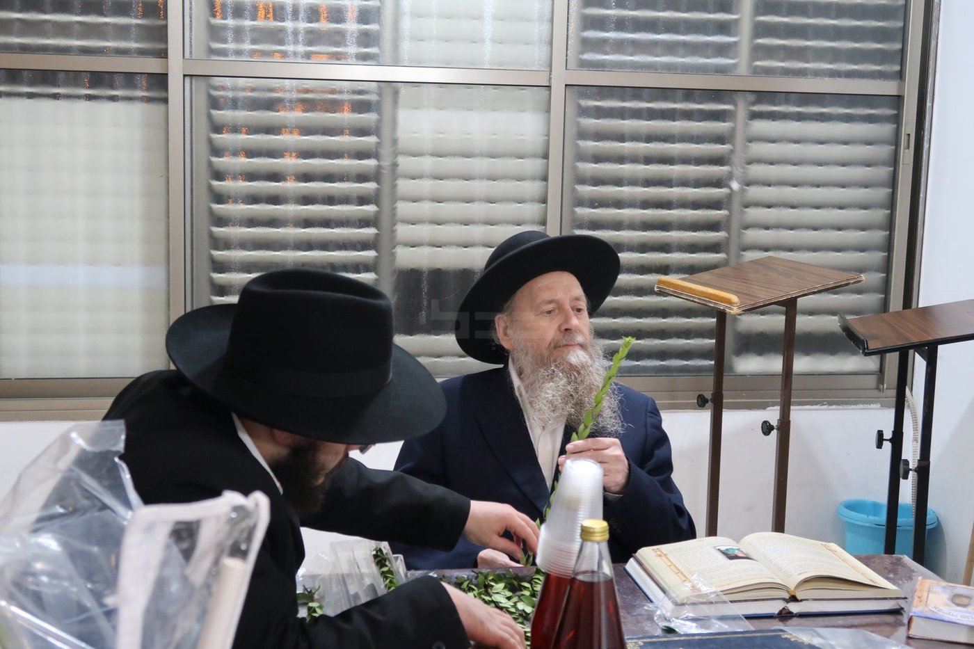 הגר"ד בצרי זצ"ל בבדיקת הדסים לסוכות תשפ"ז | צילום: י. פריד