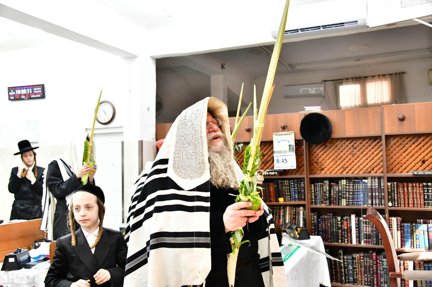 האדמו"ר מקוזמיר שליט"א בנטילת ארבעת המינים