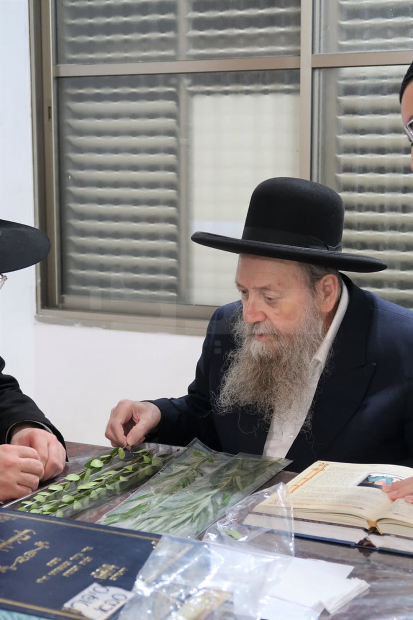 הגר"ד בצרי זצ"ל בבדיקת הדסים לסוכות תשפ"ז | צילום: י. פריד