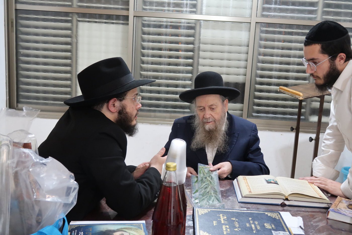 הגר"ד בצרי זצ"ל בבדיקת הדסים לסוכות תשפ"ז | צילום: י. פריד