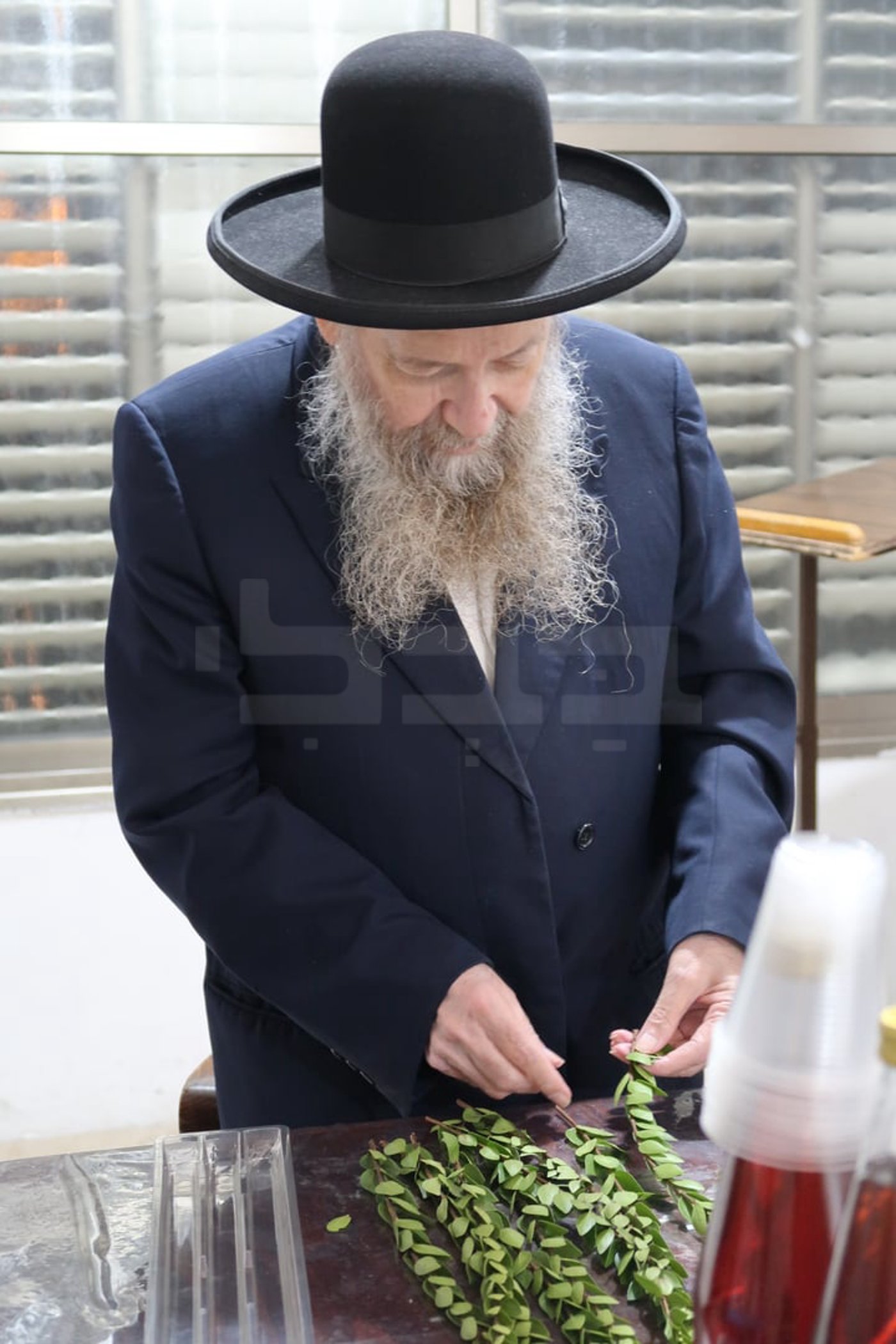 הגר"ד בצרי זצ"ל בבדיקת הדסים לסוכות תשפ"ז | צילום: י. פריד