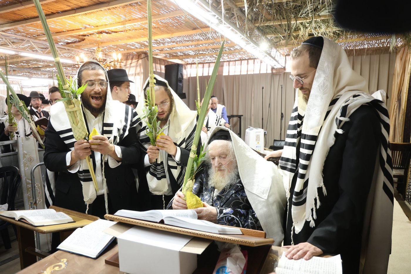 חג הסוכות אצל הגאון רבי משה שטרנבוך שליט"א | צילום: א. אייזנבאך, דוד ארזני