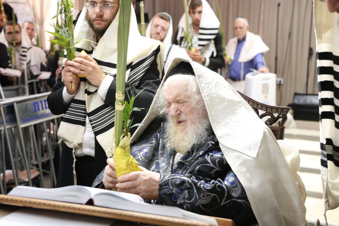 חג הסוכות אצל הגאון רבי משה שטרנבוך שליט"א | צילום: א. אייזנבאך, דוד ארזני