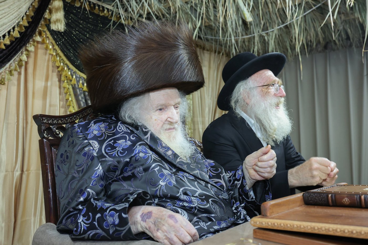 חג הסוכות אצל הגאון רבי משה שטרנבוך שליט"א | צילום: א. אייזנבאך, דוד ארזני