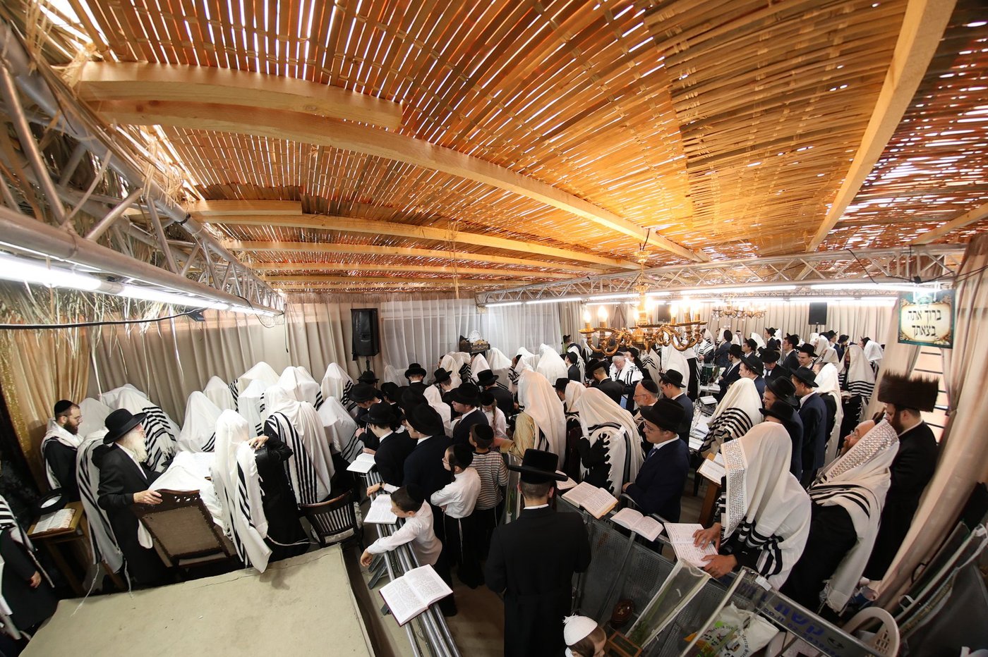 חג הסוכות אצל הגאון רבי משה שטרנבוך שליט"א | צילום: א. אייזנבאך, דוד ארזני