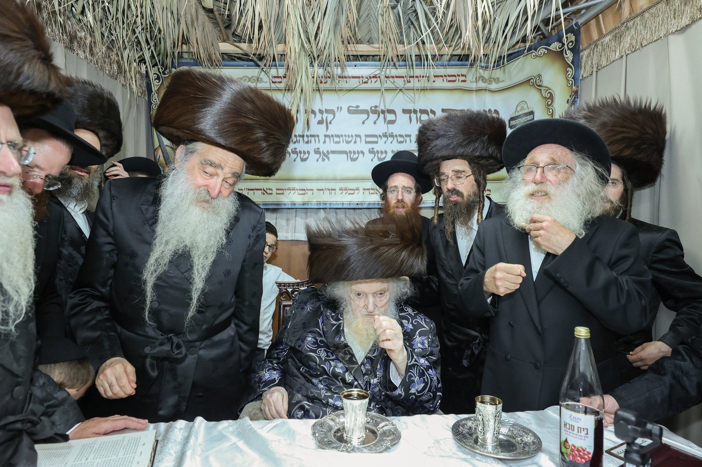 חג הסוכות אצל הגאון רבי משה שטרנבוך שליט"א | צילום: א. אייזנבאך, דוד ארזני