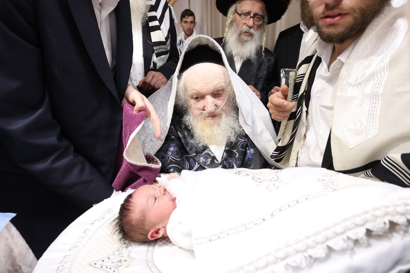 חג הסוכות אצל הגאון רבי משה שטרנבוך שליט"א | צילום: א. אייזנבאך, דוד ארזני