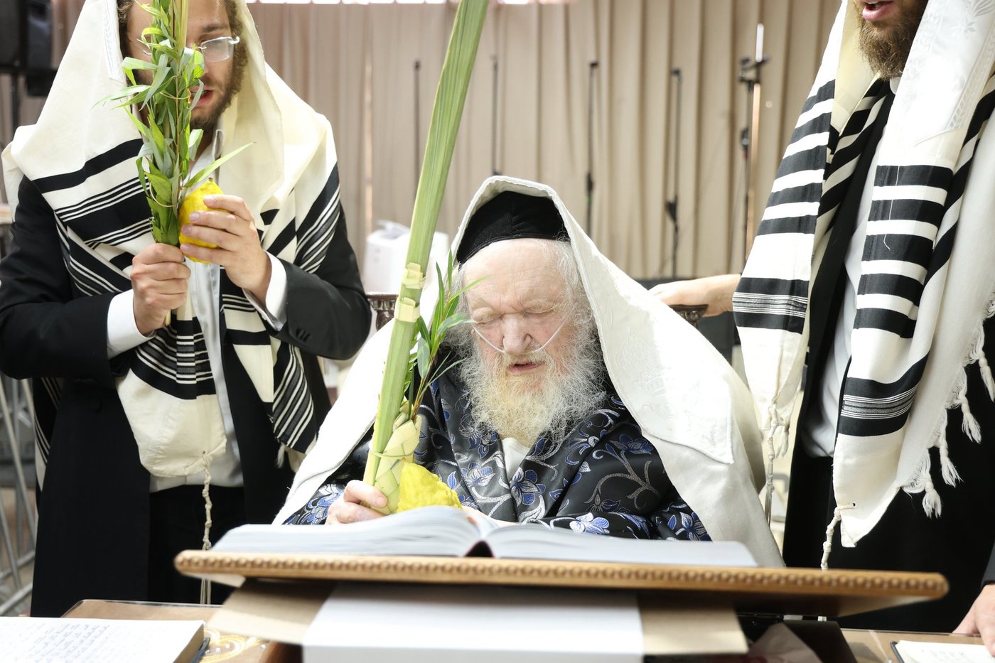 חג הסוכות אצל הגאון רבי משה שטרנבוך שליט"א | צילום: א. אייזנבאך, דוד ארזני
