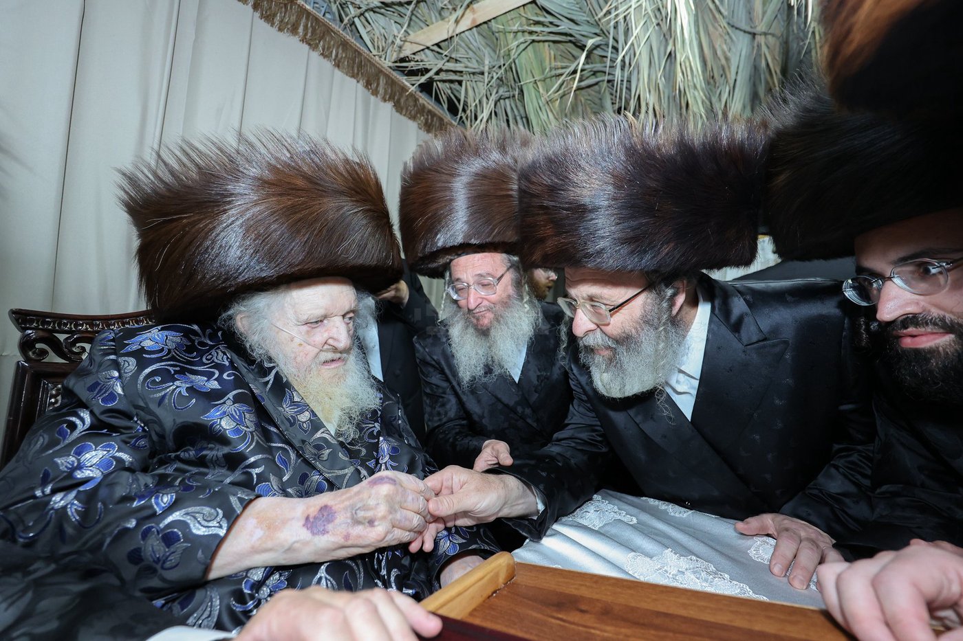 חג הסוכות אצל הגאון רבי משה שטרנבוך שליט"א | צילום: א. אייזנבאך, דוד ארזני