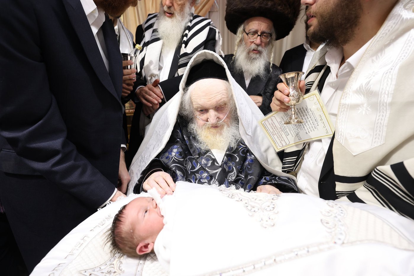 חג הסוכות אצל הגאון רבי משה שטרנבוך שליט"א | צילום: א. אייזנבאך, דוד ארזני