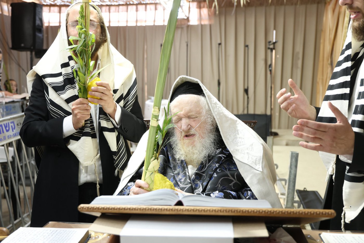 חג הסוכות אצל הגאון רבי משה שטרנבוך שליט"א | צילום: א. אייזנבאך, דוד ארזני