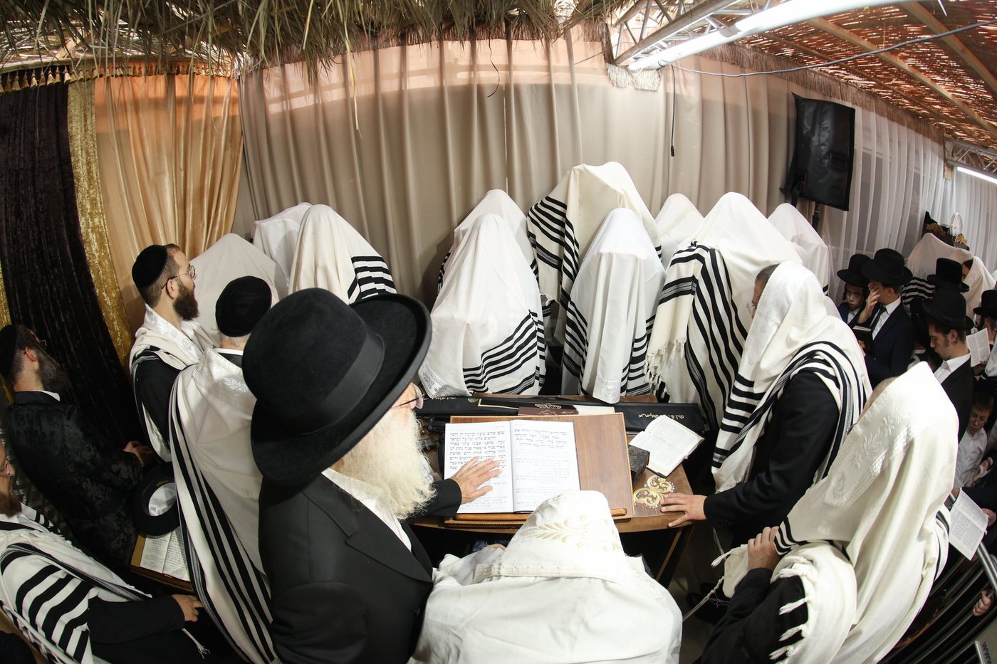 חג הסוכות אצל הגאון רבי משה שטרנבוך שליט"א | צילום: א. אייזנבאך, דוד ארזני
