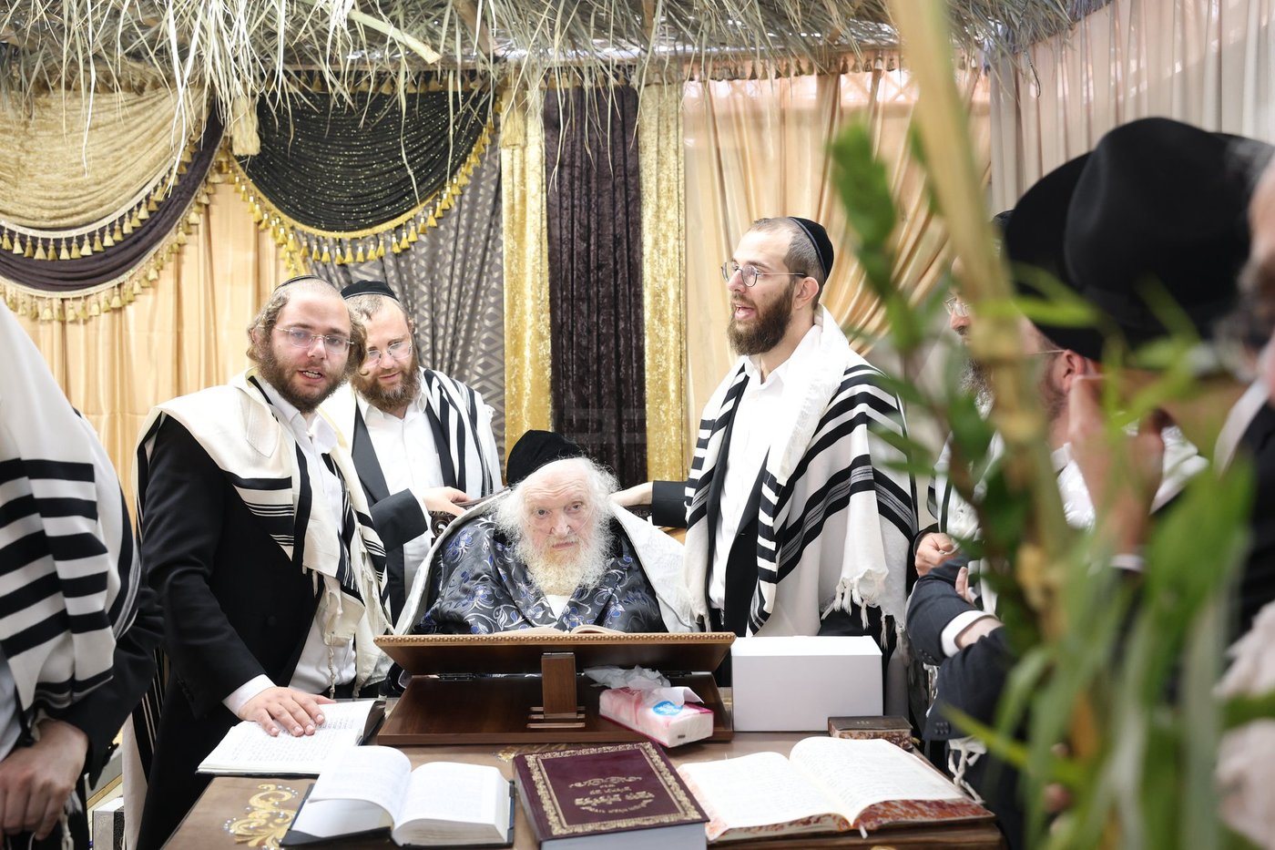 חג הסוכות אצל הגאון רבי משה שטרנבוך שליט"א | צילום: א. אייזנבאך, דוד ארזני