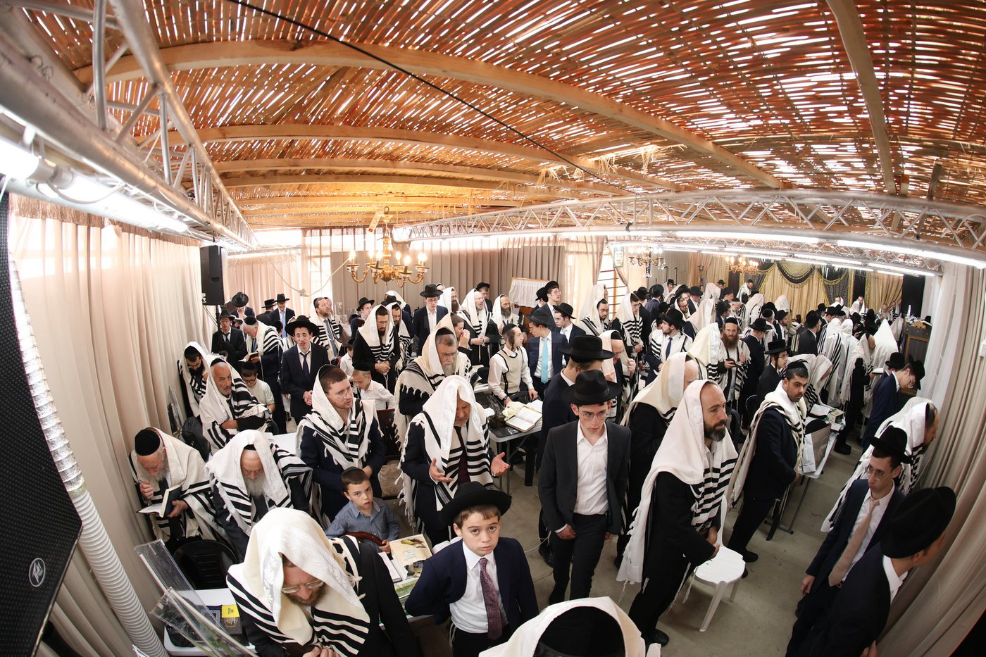 חג הסוכות אצל הגאון רבי משה שטרנבוך שליט"א | צילום: א. אייזנבאך, דוד ארזני