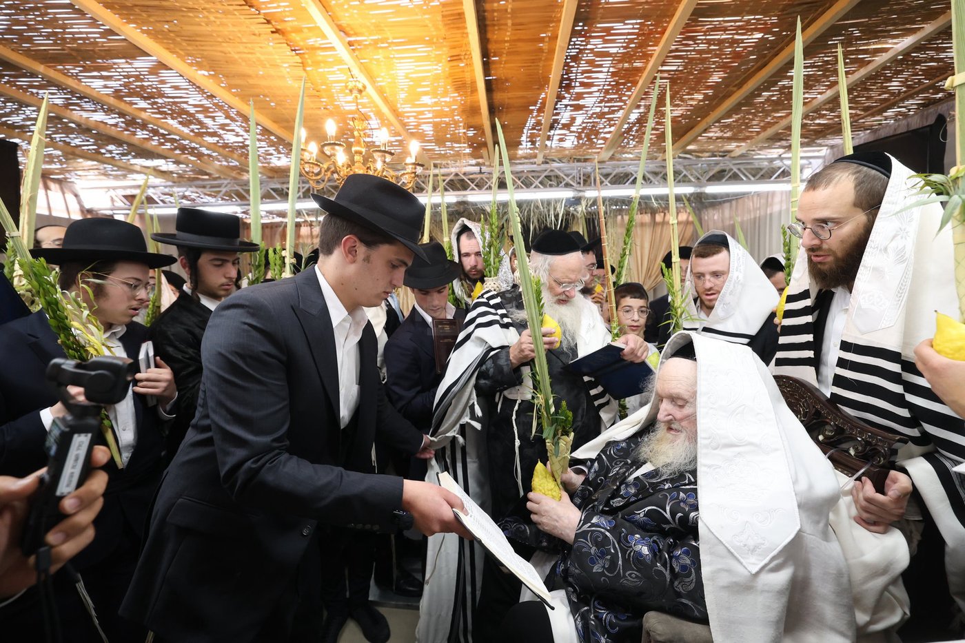 חג הסוכות אצל הגאון רבי משה שטרנבוך שליט"א | צילום: א. אייזנבאך, דוד ארזני