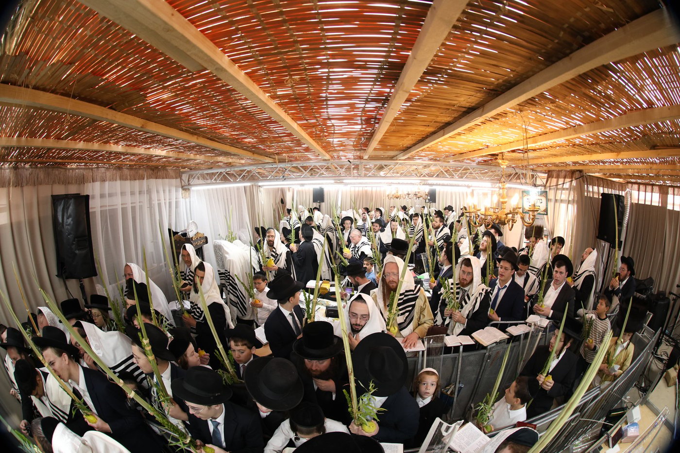 חג הסוכות אצל הגאון רבי משה שטרנבוך שליט"א | צילום: א. אייזנבאך, דוד ארזני