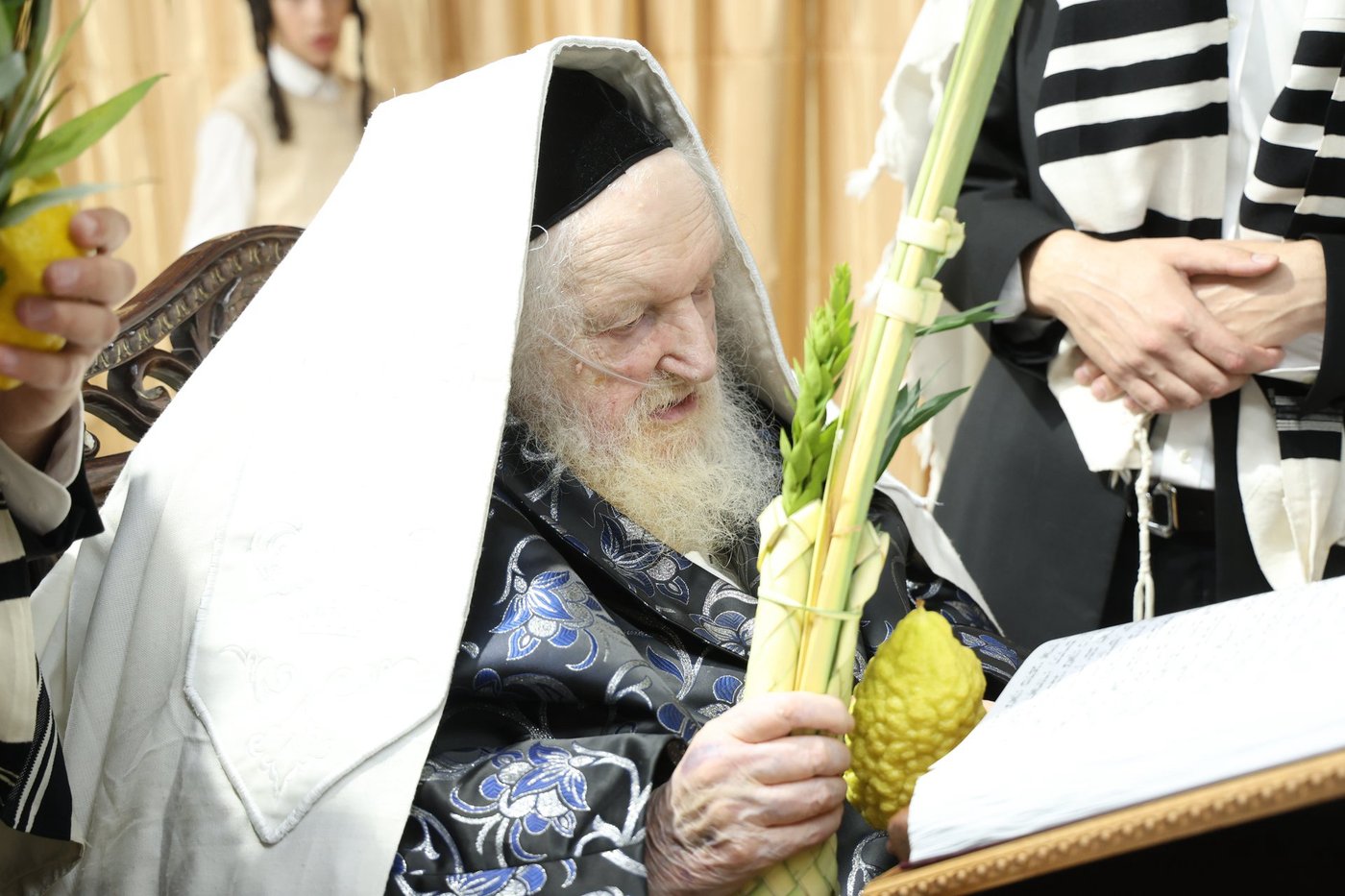 חג הסוכות אצל הגאון רבי משה שטרנבוך שליט"א | צילום: א. אייזנבאך, דוד ארזני