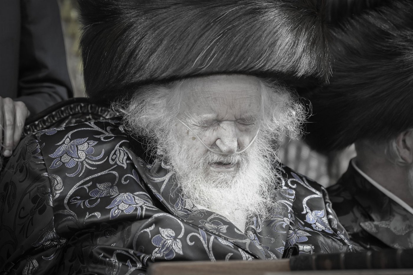 חג הסוכות אצל הגאון רבי משה שטרנבוך שליט"א | צילום: א. אייזנבאך, דוד ארזני