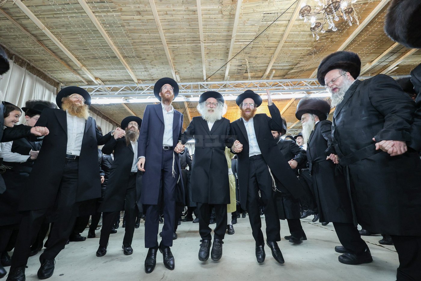 חג הסוכות אצל הגאון רבי משה שטרנבוך שליט"א | צילום: א. אייזנבאך, דוד ארזני
