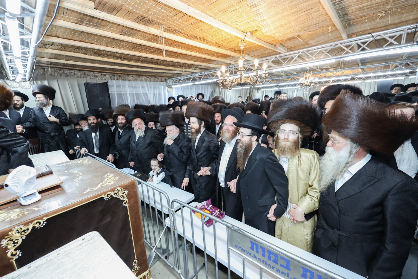 חג הסוכות אצל הגאון רבי משה שטרנבוך שליט"א | צילום: א. אייזנבאך, דוד ארזני