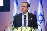 הנשיא הרצוג