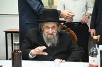 הגאון רבי דב לנדו