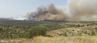 חודשה האש בהרי ירושלים; יישוב נווה שלום מפונה כעת