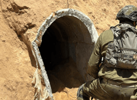 הפיר שהותר