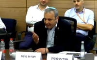 מהומה בוועדה: הח"כית זעמה; "תוציאו את הרפורמי, היהודים רוצים לדבר"