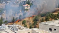 שריפת יער פרצה בסמוך לשכונה החרדית בירושלים; ישיבה וגן ילדים פונו | תיעוד