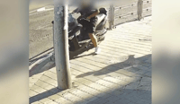 מניע ונמלט: גנב קטנוע מבני ברק ונתפס בתל אביב | תיעוד הגניבה