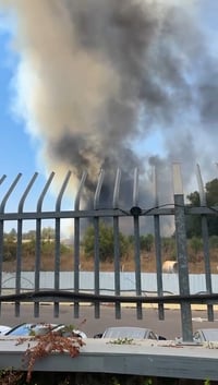 סכנה ממשית למבנים: לוחמי האש נלחמים בלהבות בכביש 44