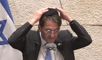 ביסמוט במליאה