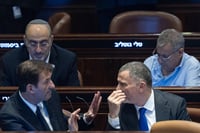 ביסמוט ואדלשטיין במליאה
