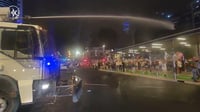 מהומה בכפר סבא: המשטרה עצרה ארבעה מפגינים במהלך מחאה פוליטית
